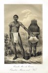 Andersson, Charles John: Reisen in Südwest-Afrika...