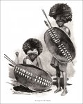Götzen, Gustav Adolf von: Durch Afrika von Ost nach...