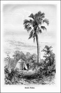 Heuglin, Martin Theodor: Reise in das Gebiet des Weissen Nil und seiner westlichen Zuflüsse in den Jahren 1862-1864