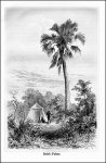Heuglin, Martin Theodor: Reise in das Gebiet des Weissen...