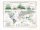 Johnston, Alexander Keith: The Physical Atlas of Natural Phenomena