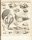 Klein, Jacob Theodor: Tentamen methodi ostracologicae sive dispositio naturalis cochlidum et concharum in suas classes, genera et species. / Lucubratiuncula de formatione, cremento et coloribus testarum, quae sunt cochlidum et concharum. / Commentariolum
