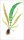 Lowe, Edward Joseph: Ferns: British and exotic