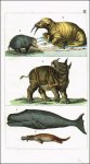 Schinz, Heinrich Rud.: Lehrbuch der Naturgeschichte...