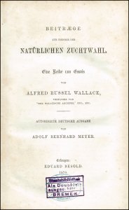 Wallace, Alfred Russel: Beiträge zur Theorie der natürlichen Zuchtwahl