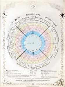 Bronn, Heinrich Georg: Lethaea geognostica oder Abbildung und Beschreibung der für die Gebirgsformationen bezeichnendsten Versteinerungen