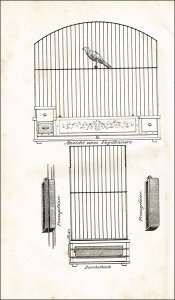 Siedhof, Carl Fr. Wilh.: Naturgeschichte der Stubenvögel Deutschlands.