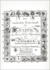 Sprengel, Christian Konrad: Das entdeckte Geheimniss der Natur im Bau und in der Befruchtung der Blumen.